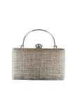 Elegant Beaded Clutch 